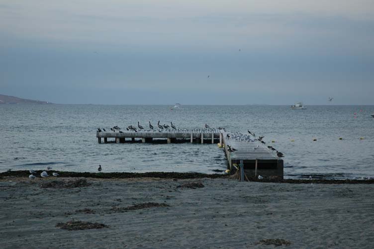 1270-DSC_0136